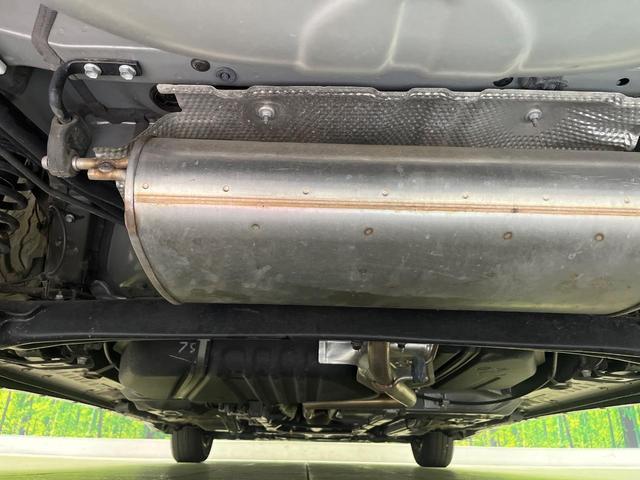 24360158_carP_l_18.jpg