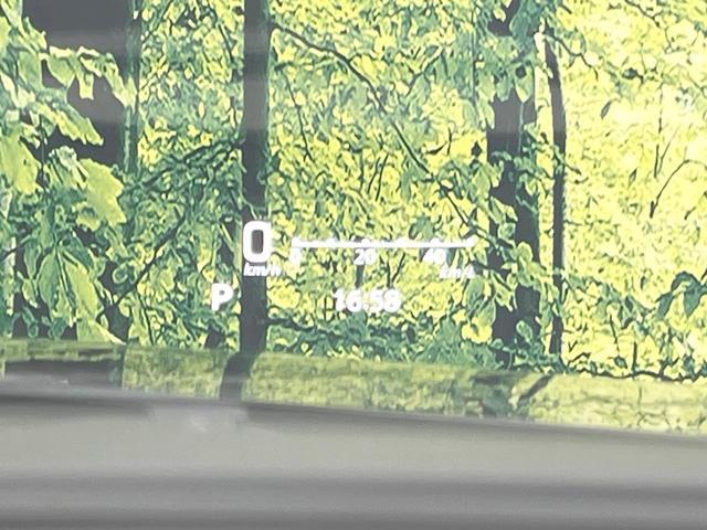 24932437_carP_l_13.jpg