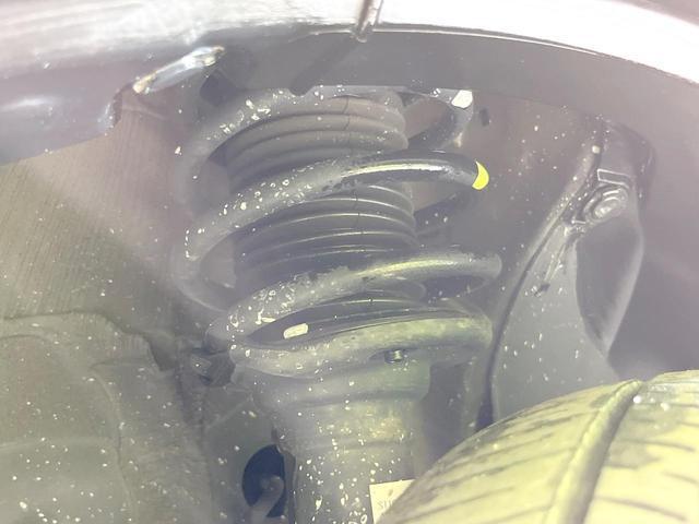 24932437_carP_l_20.jpg