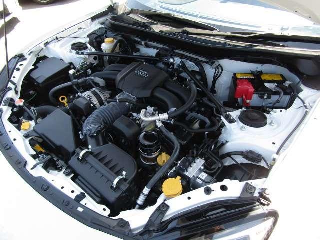 23804497_carP_l_11.jpg