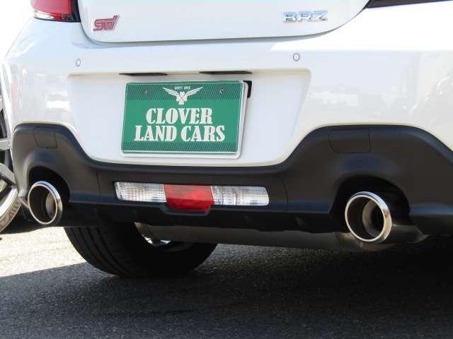23804497_carP_l_12.jpg