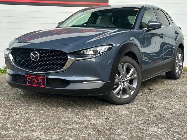 25938549_carP_l_3.jpg