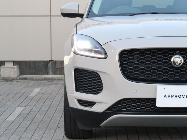 27011551_carP_l_7.jpg
