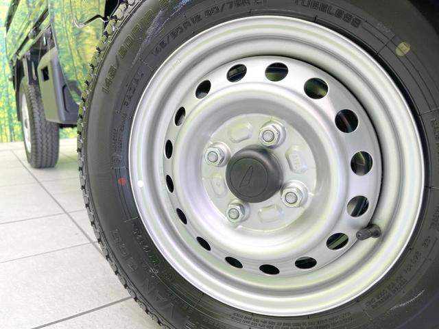 24932448_carP_l_19.jpg