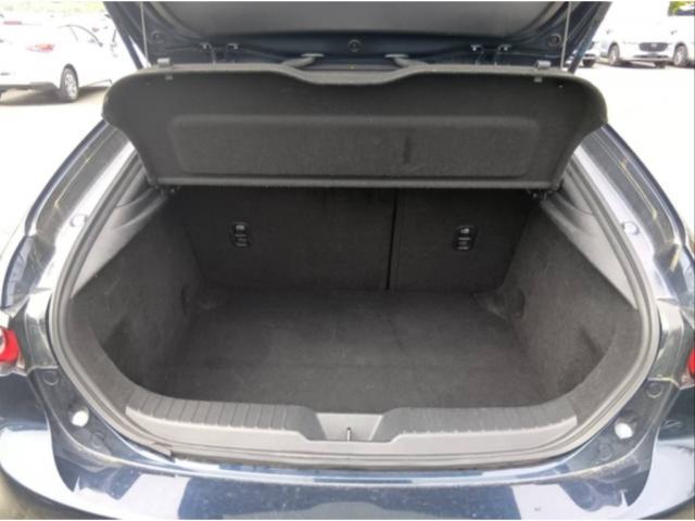 24200227_carP_l_19.jpg