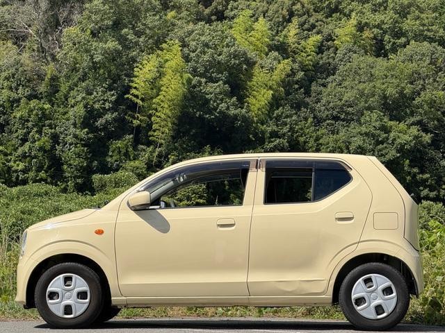 25940245_carP_l_11.jpg
