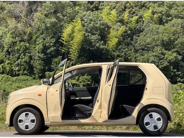 25940245_carP_l_12.jpg