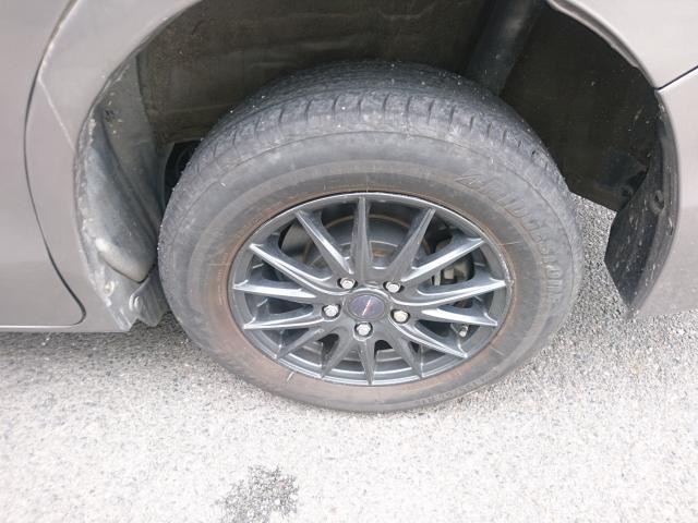26952134_carP_l_19.jpg