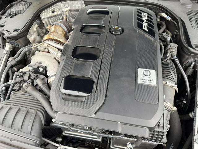 24622941_carP_l_11.jpg