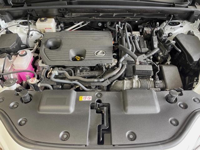 24625091_carP_l_18.jpg