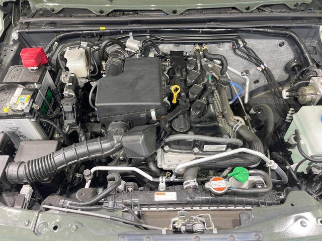 24320232_carP_l_16.jpg