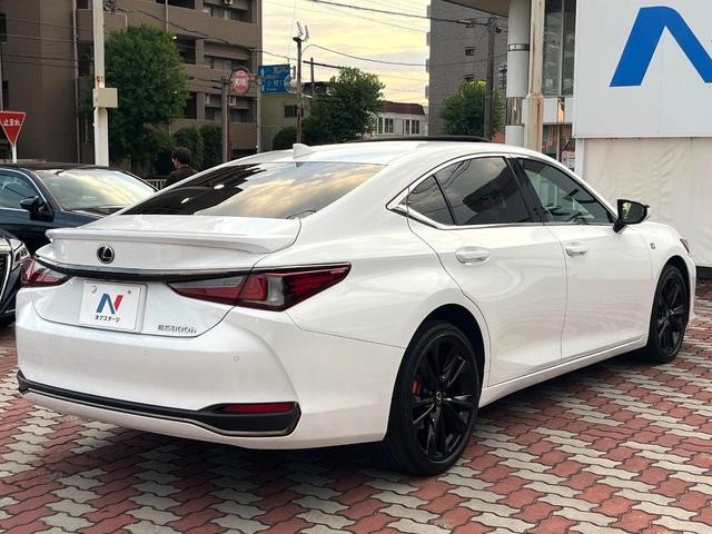 25942324_carP_l_12.jpg