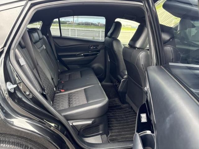 24224717_carP_l_10.jpg