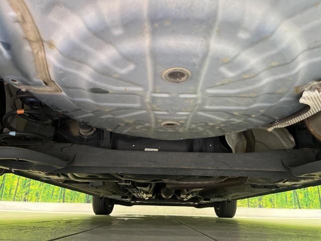 24932457_carP_l_18.jpg
