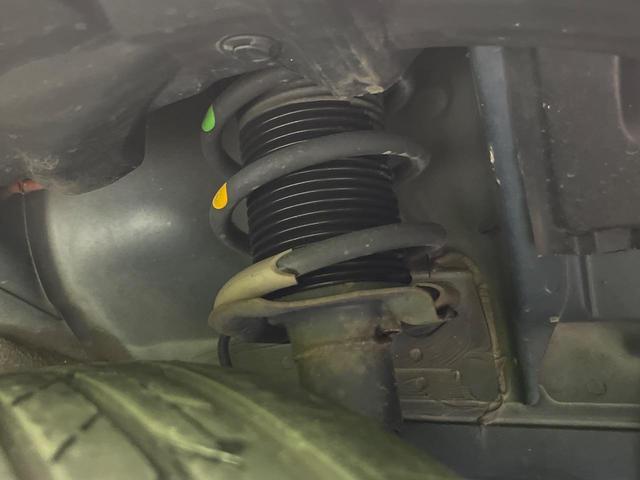 24932457_carP_l_20.jpg