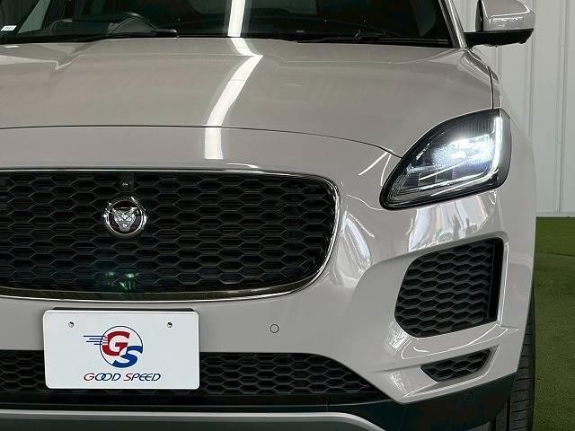 24968544_carP_l_20.jpg