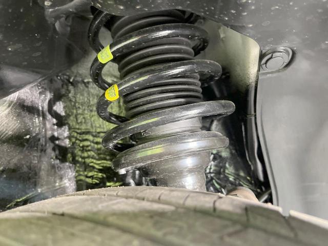 24199465_carP_l_20.jpg