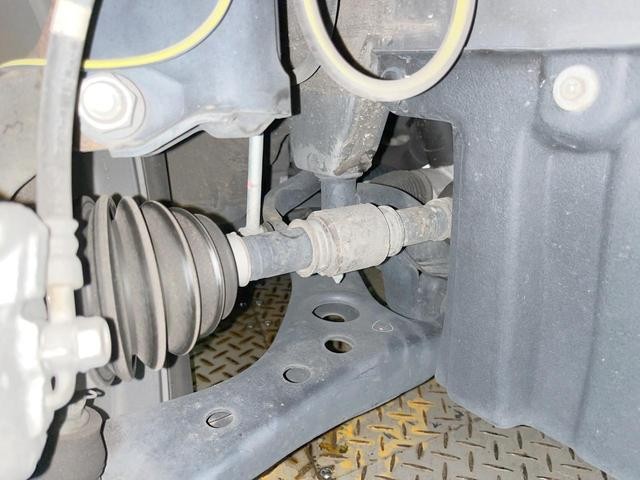 26251687_carP_l_20.jpg