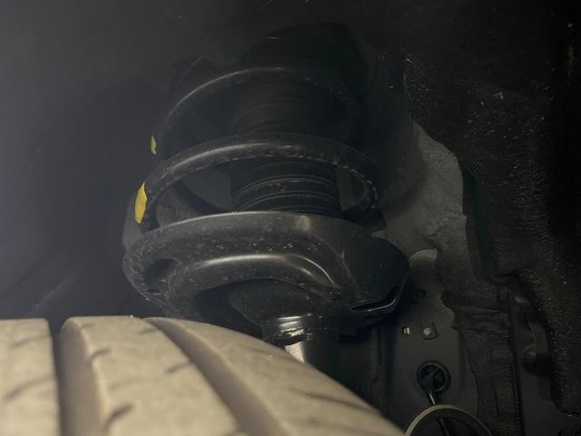 25942446_carP_l_20.jpg