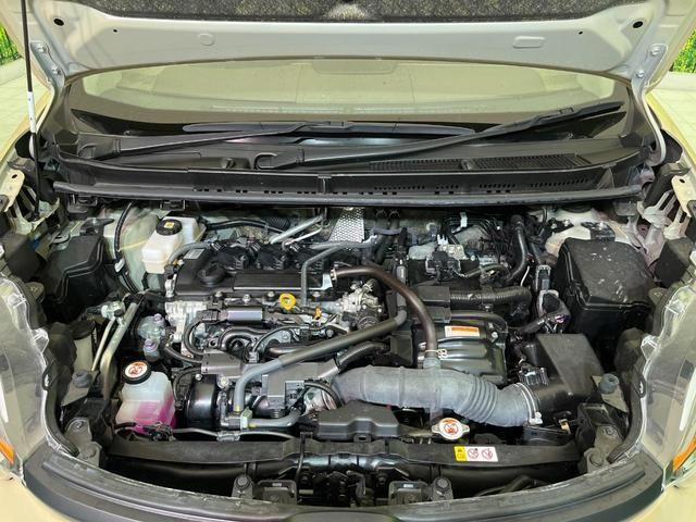 26209842_carP_l_18.jpg
