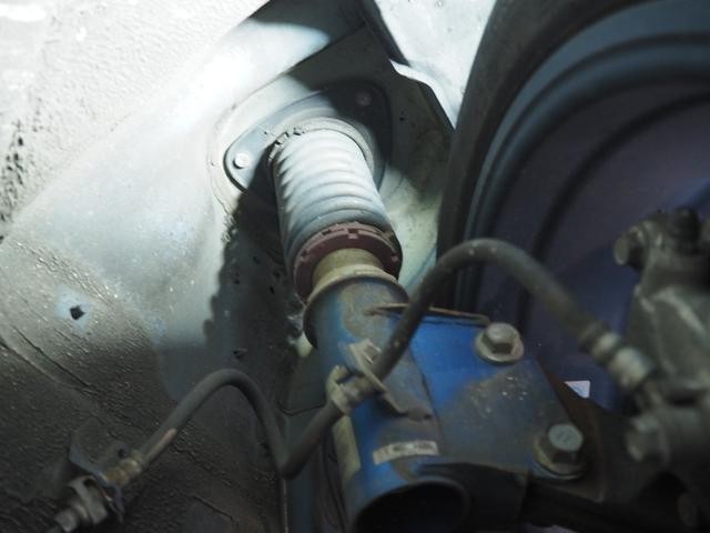 26224924_carP_l_7.jpg