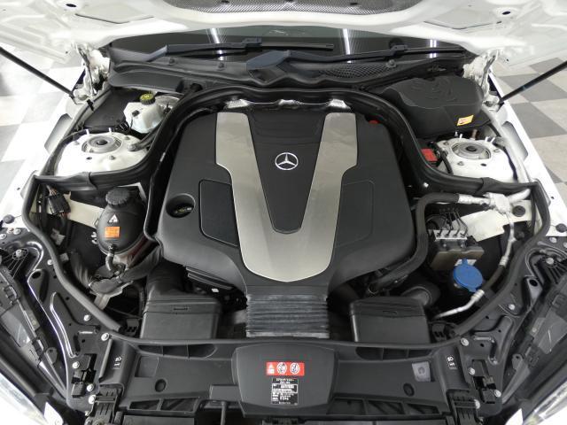 24500585_carP_l_20.jpg