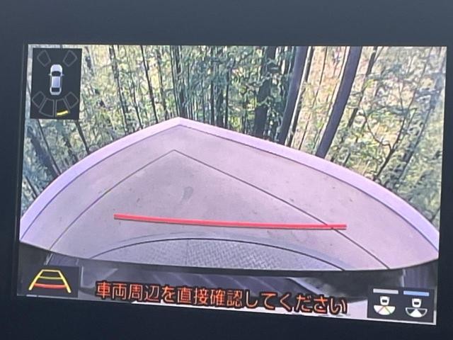 25673144_carP_l_4.jpg