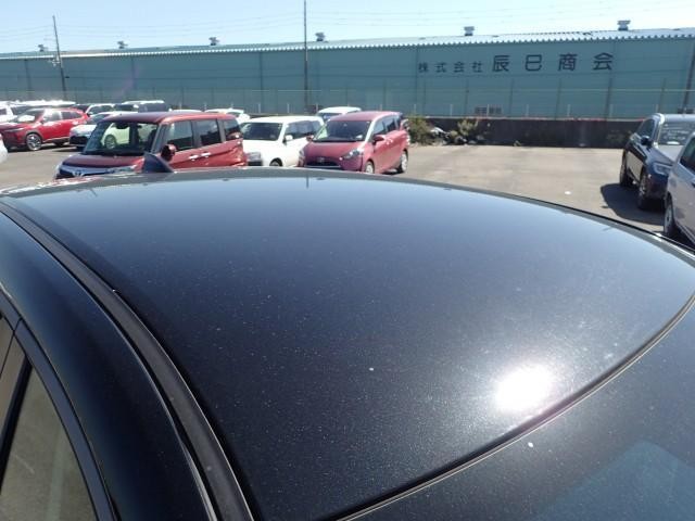 27078052_carP_l_12.jpg