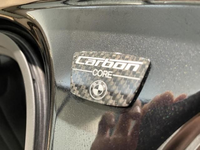 26395864_carP_l_5.jpg