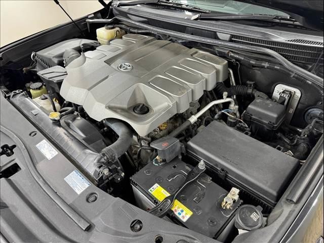 25521772_carP_l_16.jpg