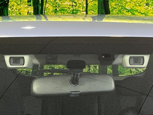 24441218_carP_l_10.jpg