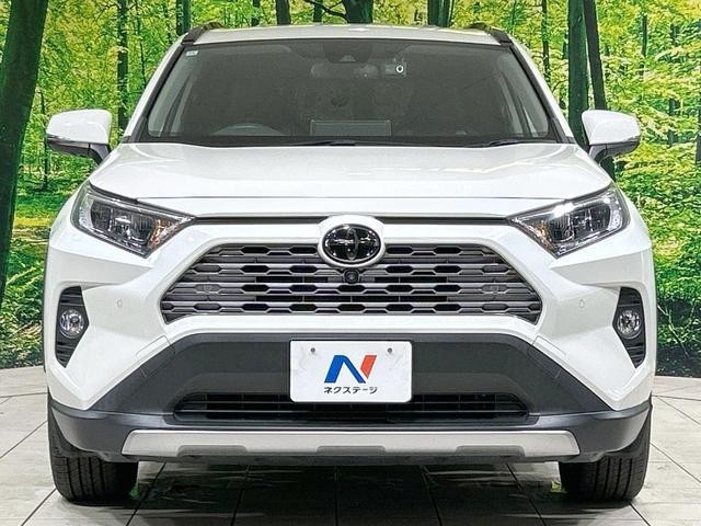 26106114_carP_l_8.jpg