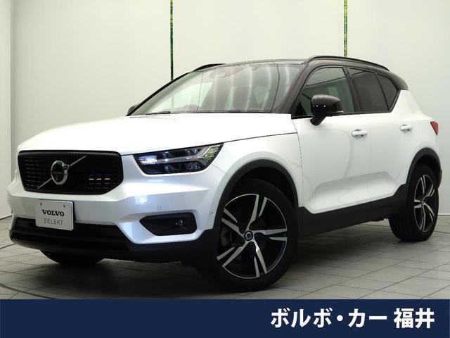 25384212_carP_l_1.jpg