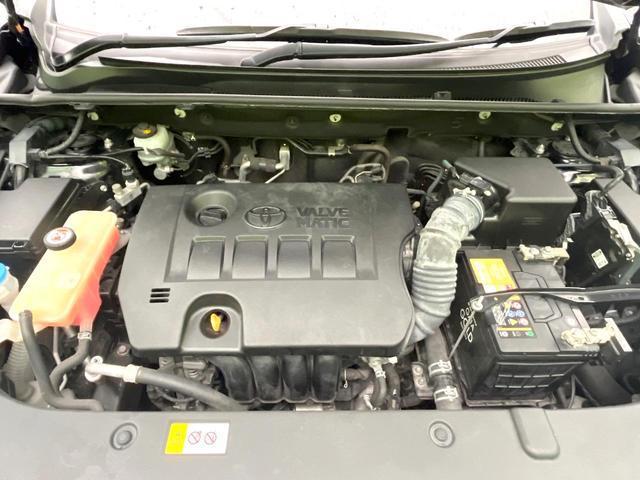 24500605_carP_l_16.jpg