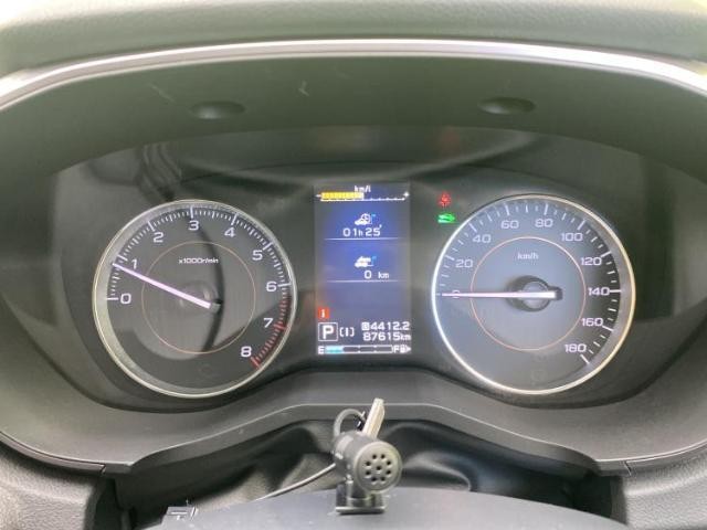 24244584_carP_l_7.jpg