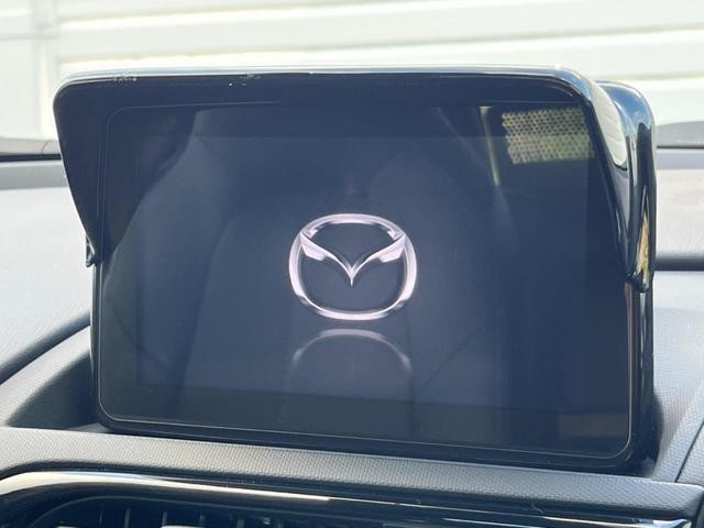 26426523_carP_l_4.jpg