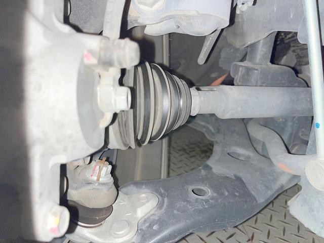 25527395_carP_l_20.jpg