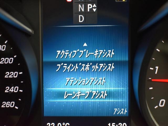 27016896_carP_l_13.jpg