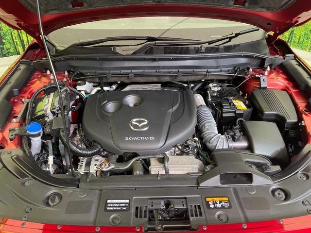 26209857_carP_l_16.jpg