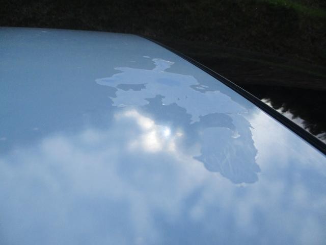 1000513A30261023W00208.jpg