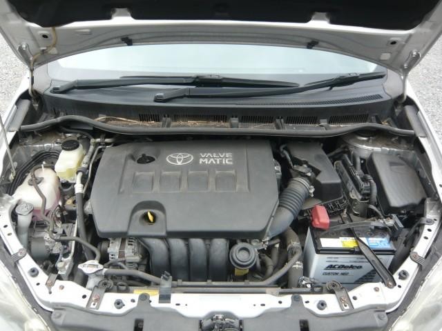25597120_carP_l_17.jpg