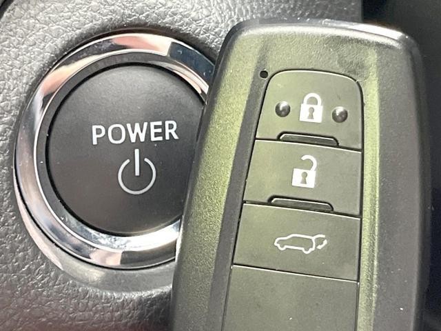 25262793_carP_l_14.jpg