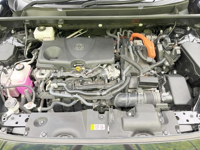 25262793_carP_l_16.jpg