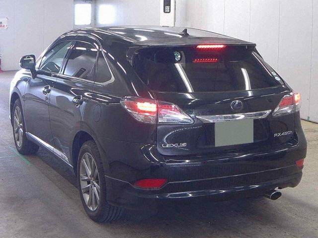 25118084_carP_l_3.jpg