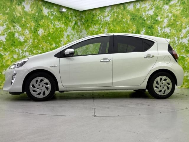 24244690_carP_l_3.jpg