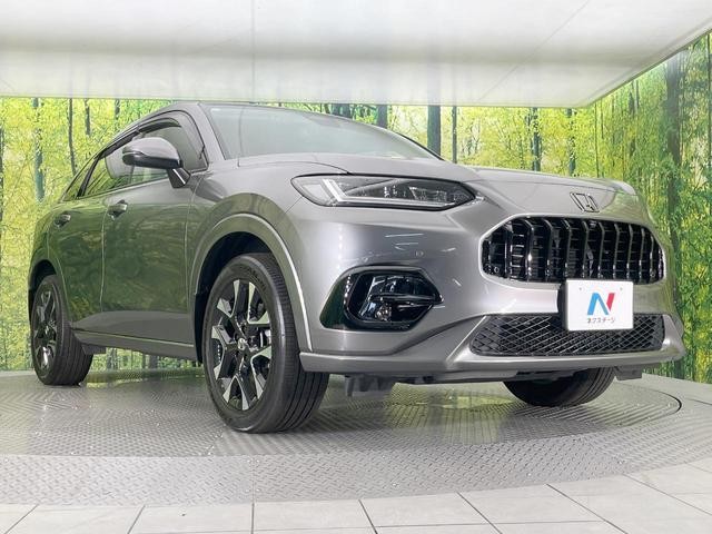 25942509_carP_l_11.jpg
