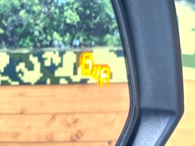 24869242_carP_l_14.jpg