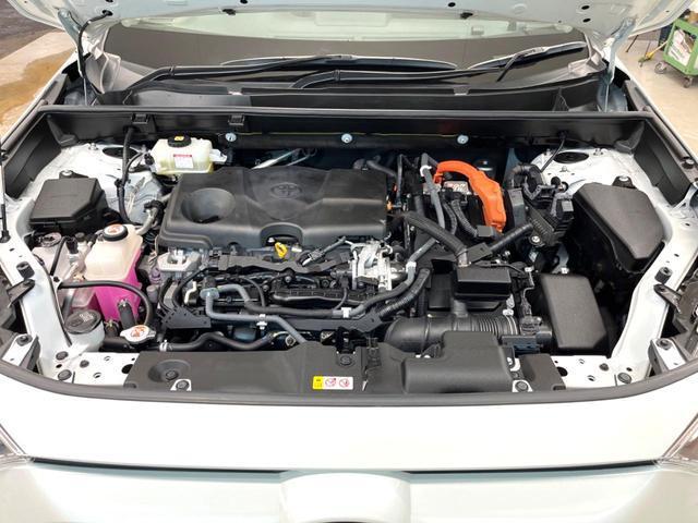 24869242_carP_l_16.jpg