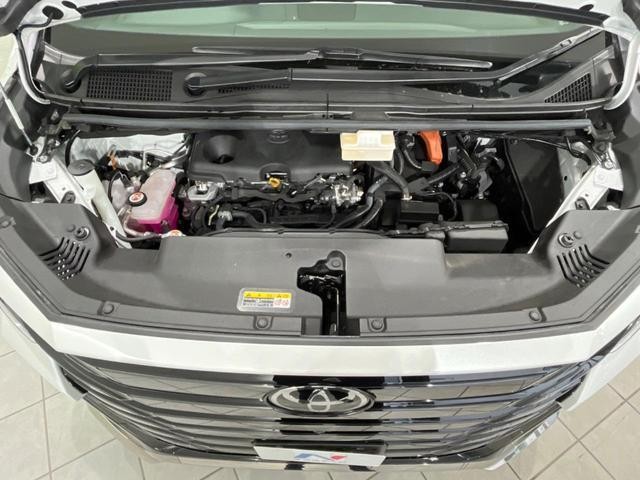 27094433_carP_l_18.jpg