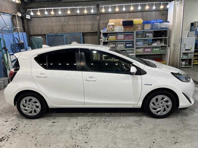 25952531_carP_l_2.jpg